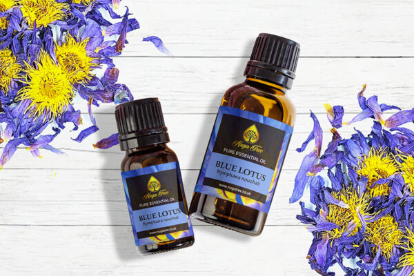 Blue Lotus 01 1