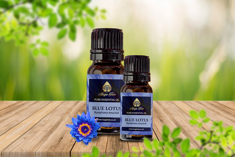 Blue lotus essential oil hotsell