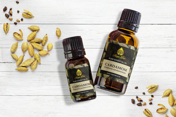 Cardamom 01
