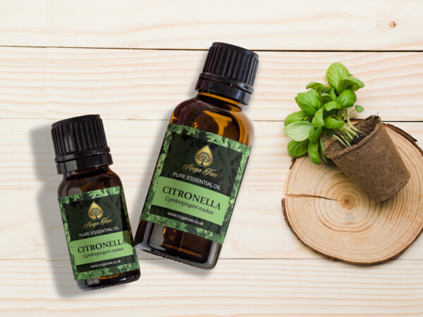 Citronella 01
