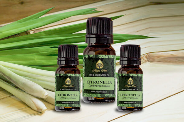 Citronella 02