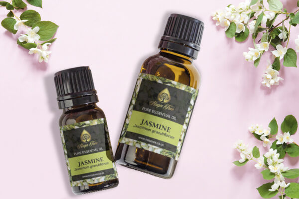 Jasmin 02