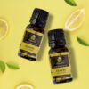 Lemon 02