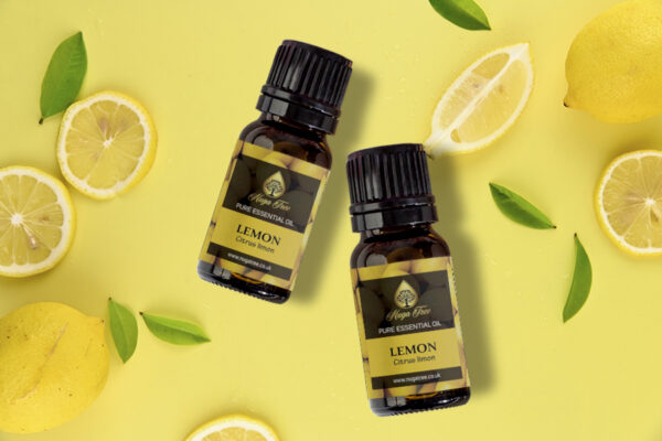 Lemon 02