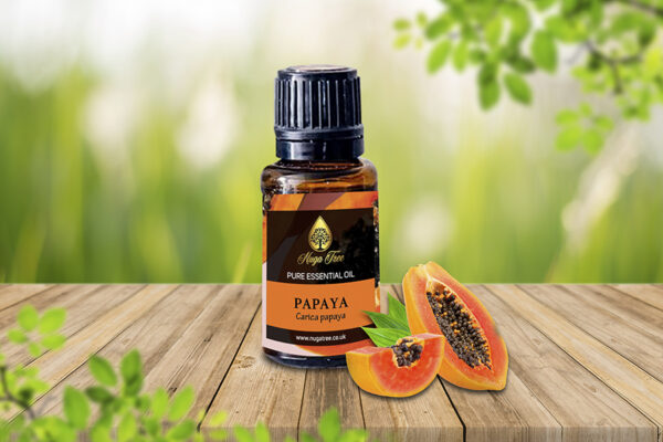 Papaya 02