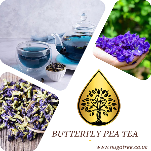 butterfly pea