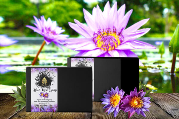 blue lotus 1
