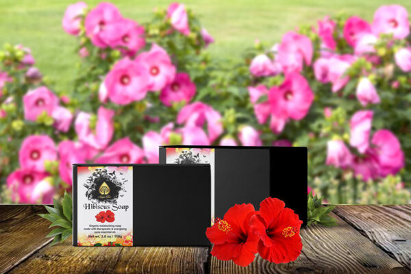hibiscus 1
