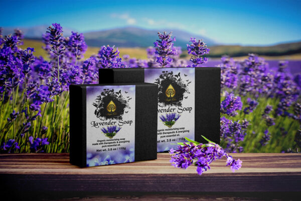 lavender 2