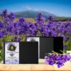 lavender natural soap